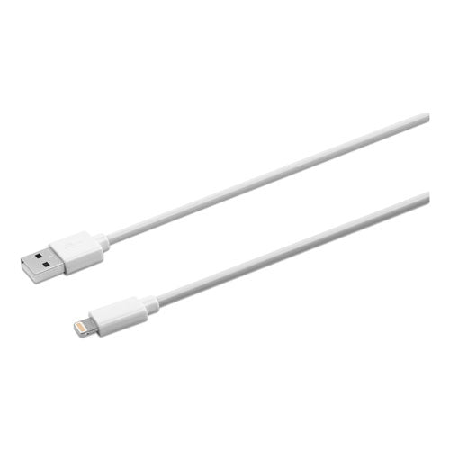 USB Apple Lightning Cable