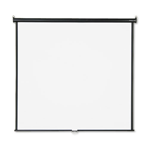 Wall or Ceiling Projection Screen